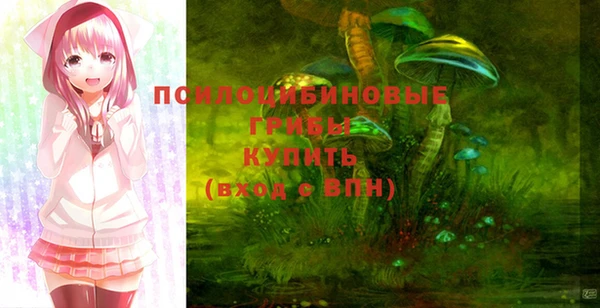 mdpv Балахна