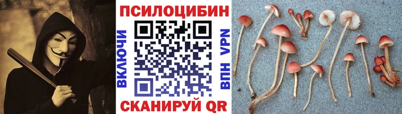 Псилоцибиновые грибы мицелий Купить закладки Гусев